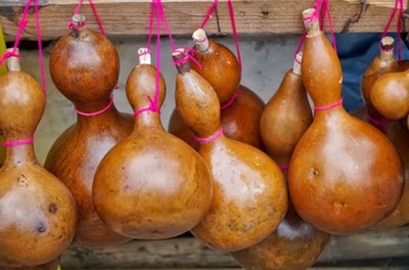 gourds hanging to dry tied by pink string